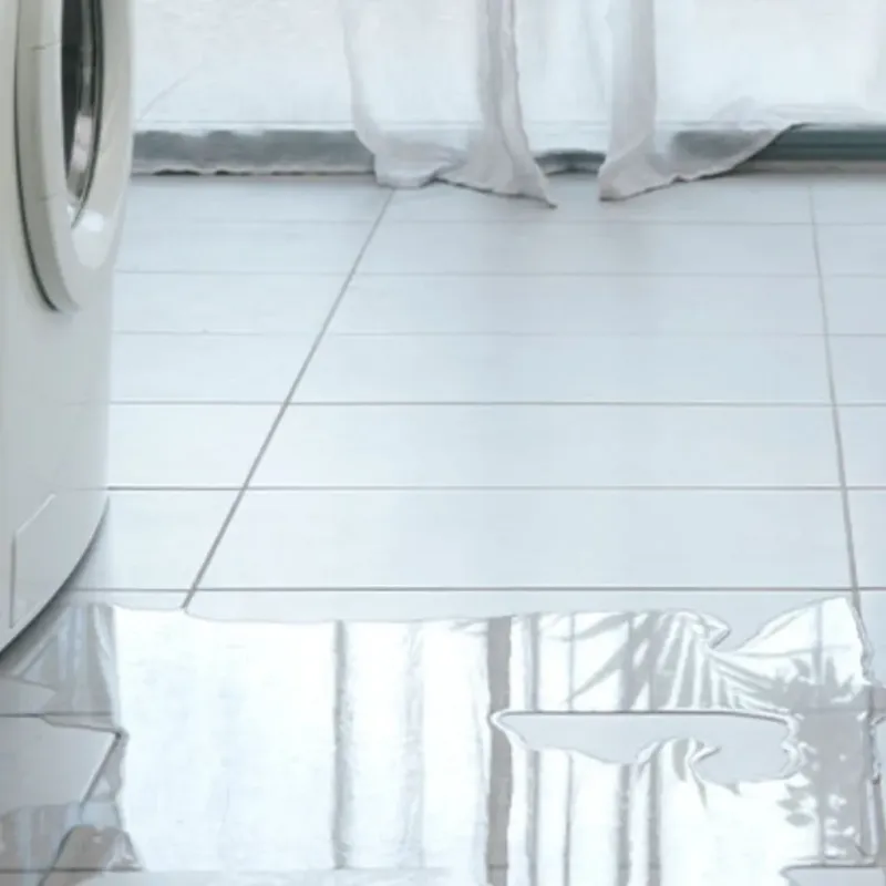 Appliance Leak Cleanup in Phoenix, OR